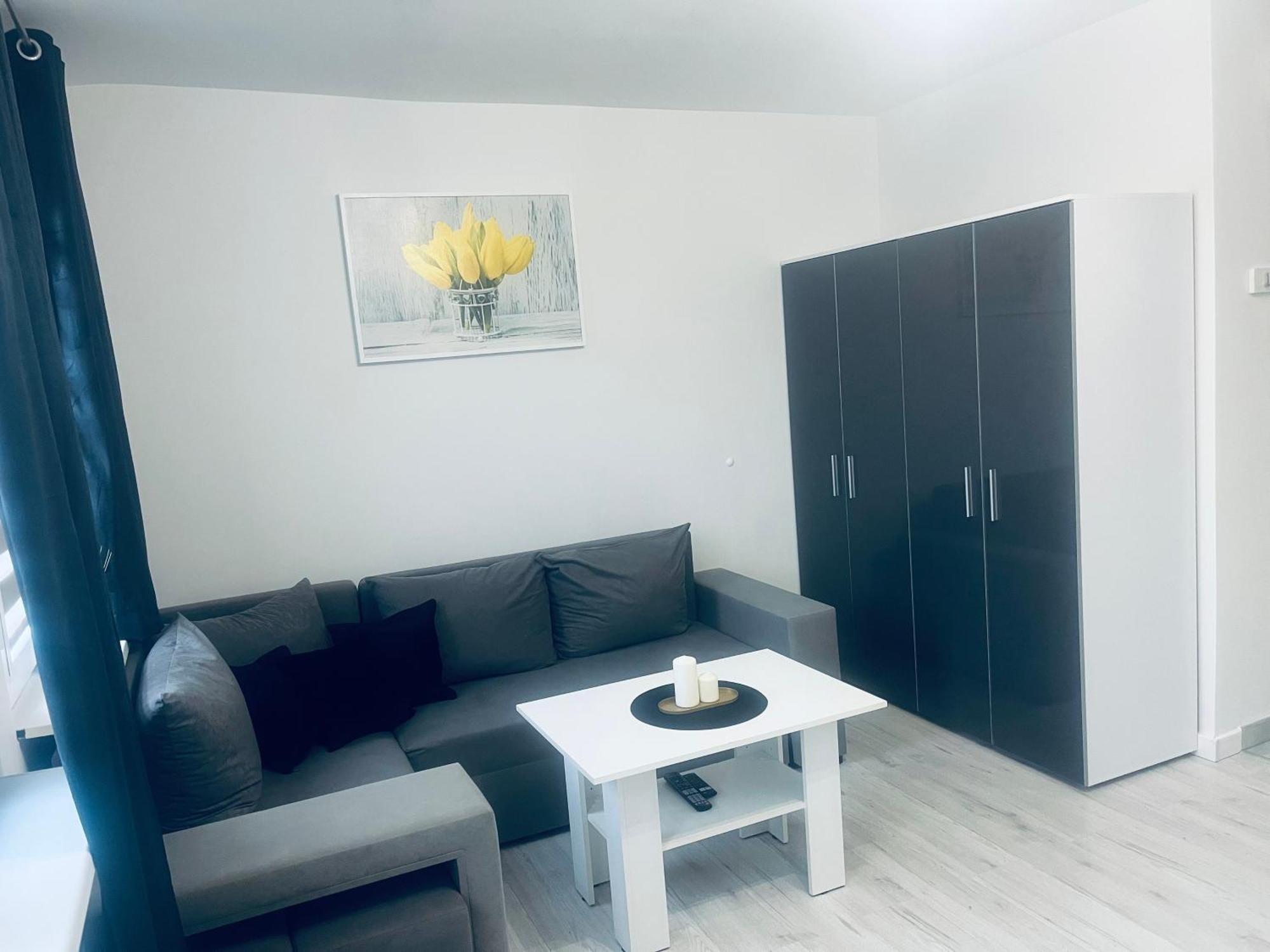 Silver Apartament Katowice Ngoại thất bức ảnh